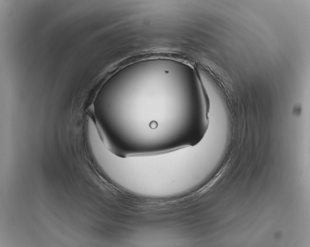 X0000097651161200803211849