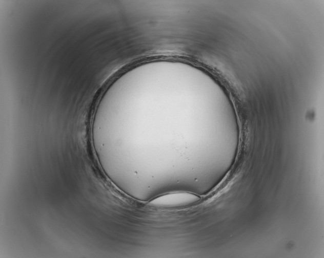 X0000097651162200803211849