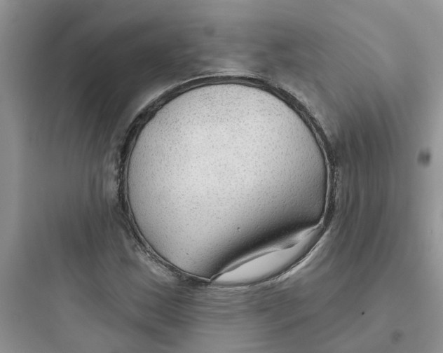 X0000097651163200803211849