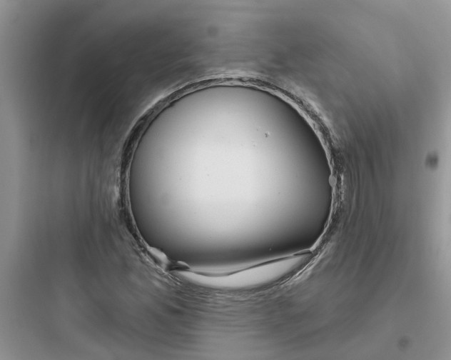 X0000097651165200803211849