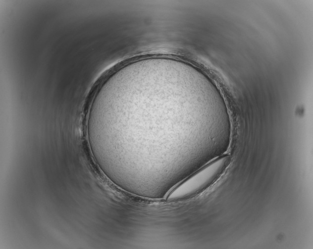 X0000097651166200803211849