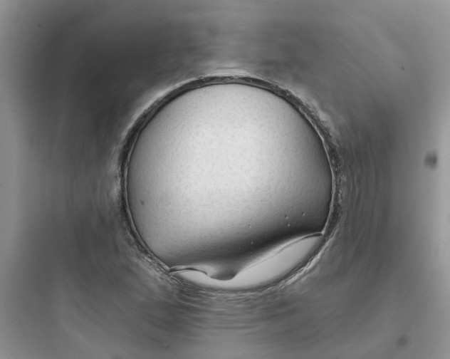 X0000097651167200803211849