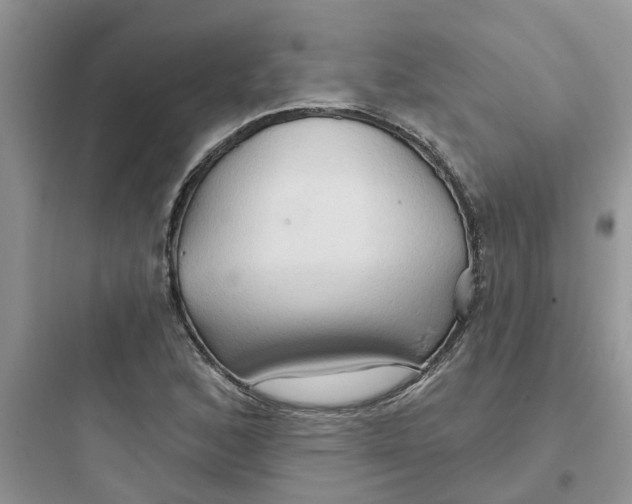 X0000097651168200803211849