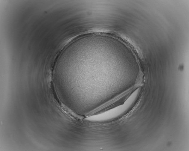 X0000097651169200803211849