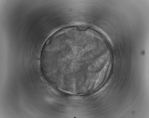 X0000097651170200803211849