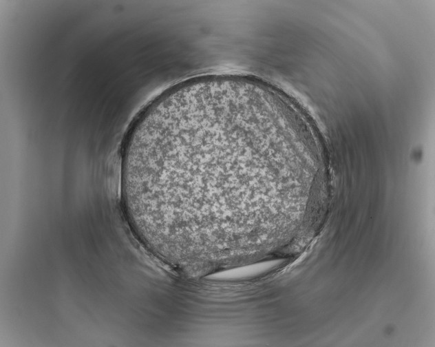 X0000097651171200803211849