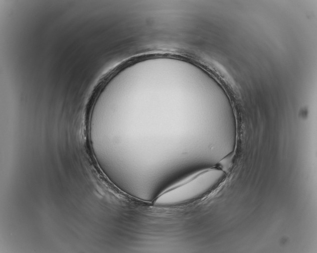 X0000097651172200803211849