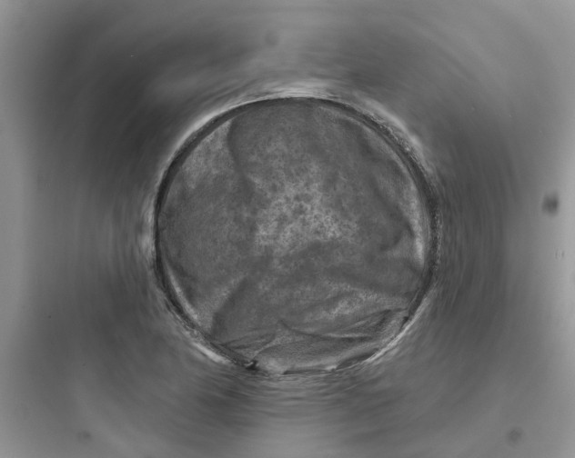 X0000097651174200803211849