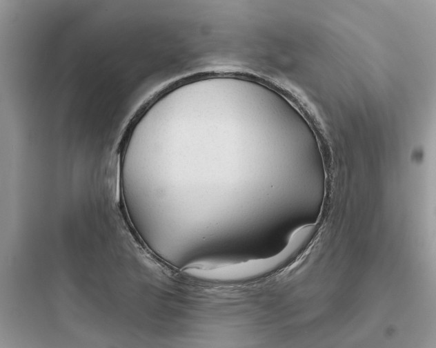 X0000097651175200803211849