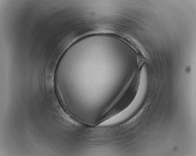 X0000097651177200803211849