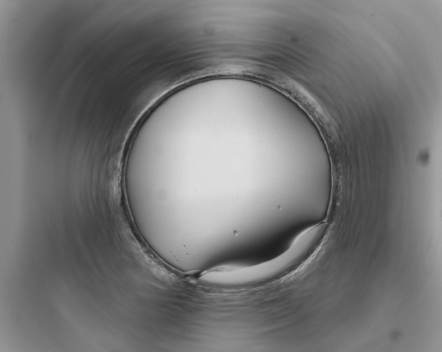 X0000097651178200803211849