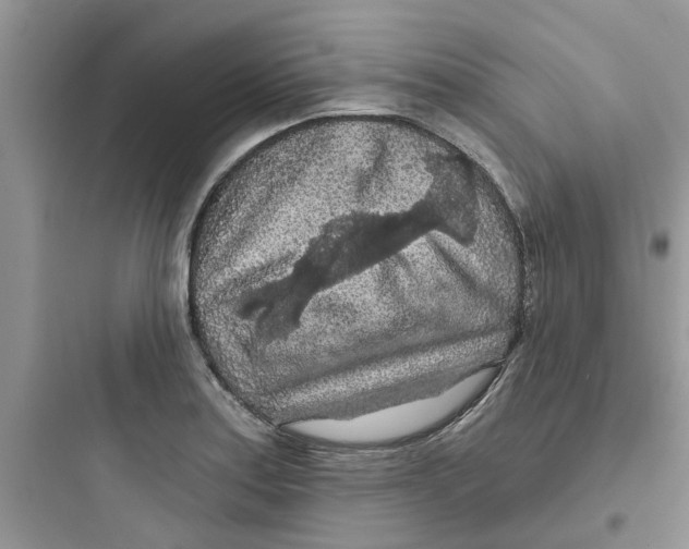 X0000097651179200803211849