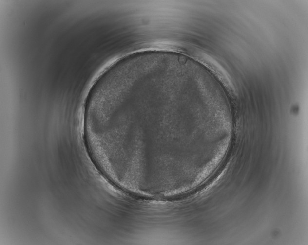 X0000097651180200803211849