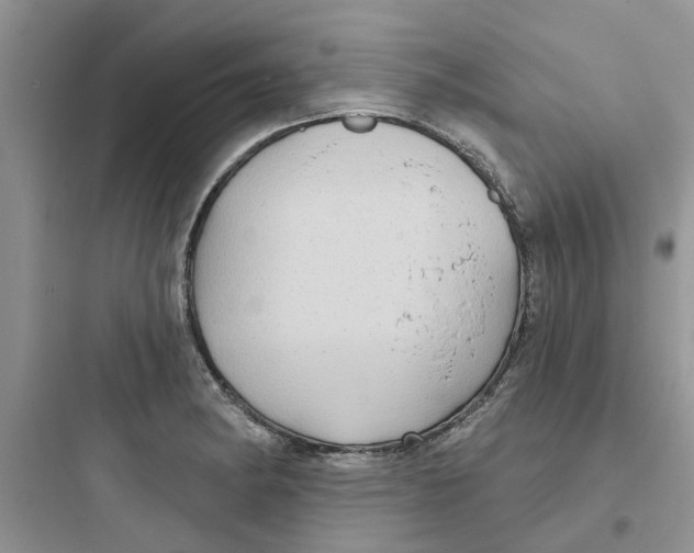 X0000097651182200803211849