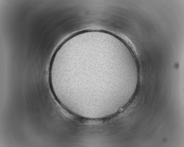 X0000097651183200803211849