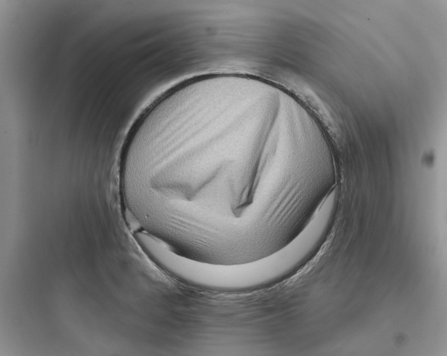 X0000097651184200803211849