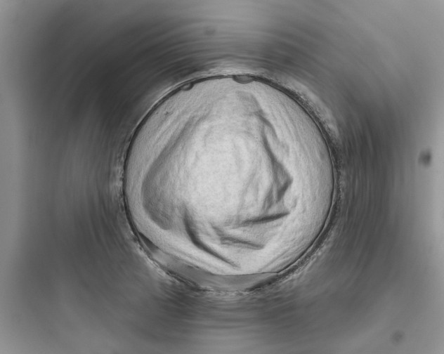 X0000097651185200803211849