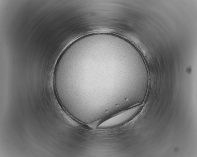 X0000097651186200803211849