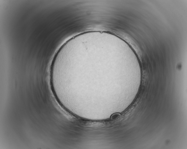 X0000097651187200803211848