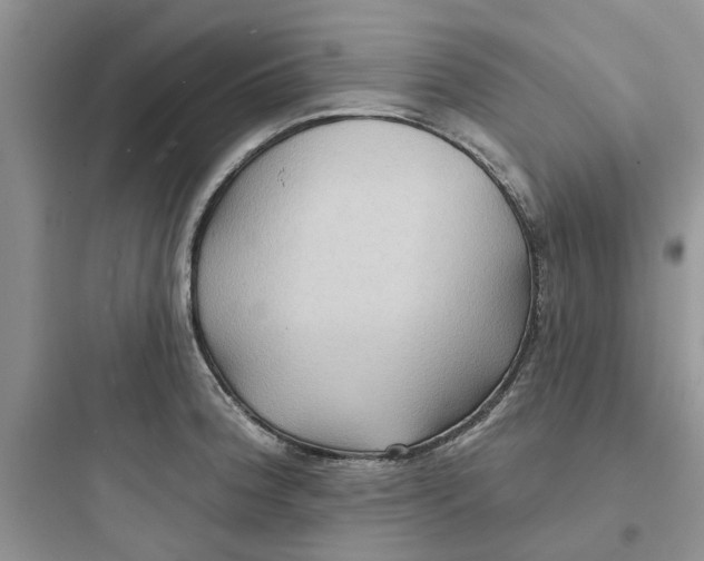 X0000097651188200803211848