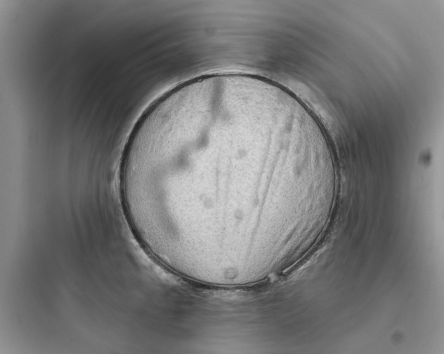 X0000097651189200803211848