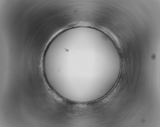 X0000097651190200803211848