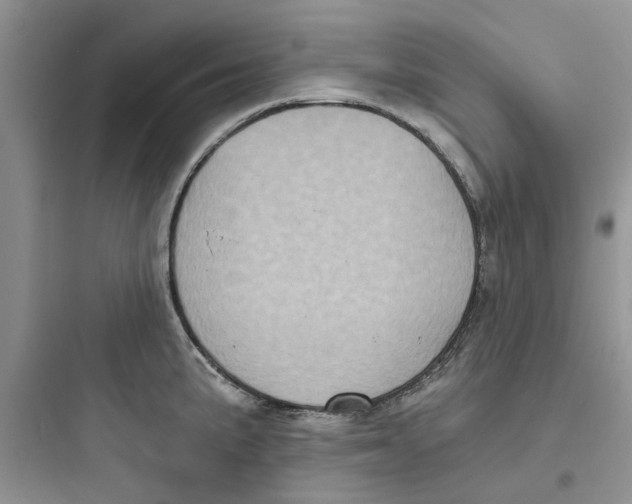 X0000097651191200803211848