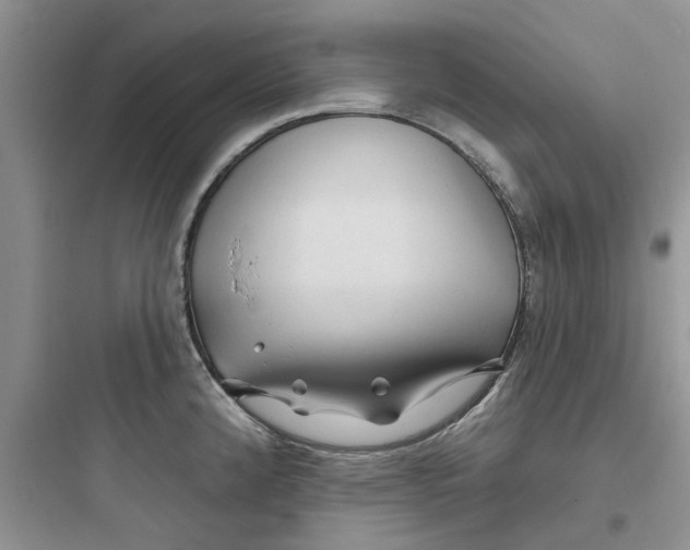 X0000097651192200803211848