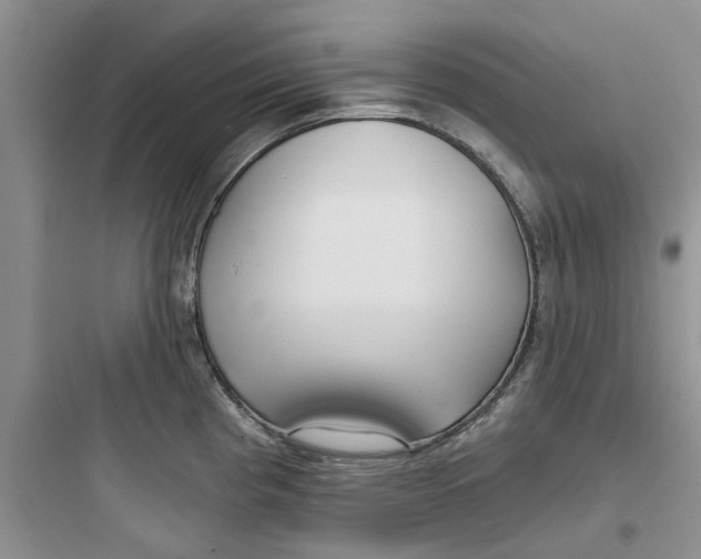 X0000097651193200803211848