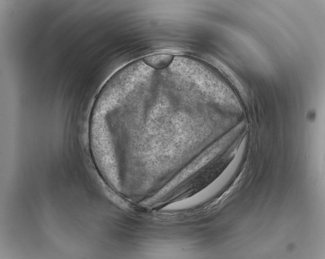 X0000097651194200803211848