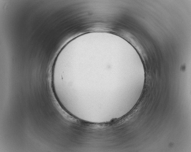 X0000097651195200803211848