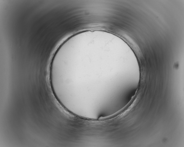 X0000097651196200803211848