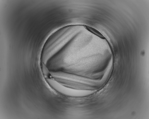 X0000097651197200803211848