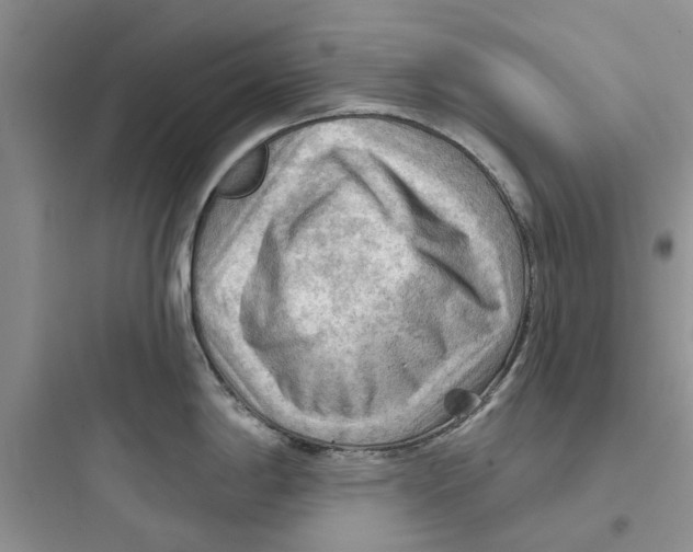 X0000097651198200803211848