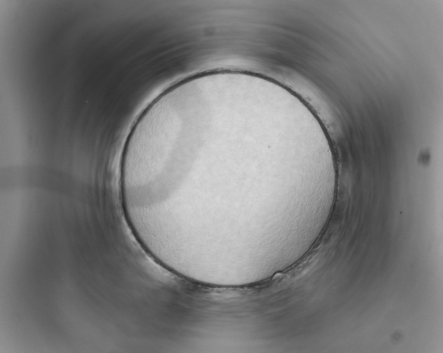 X0000097651199200803211848