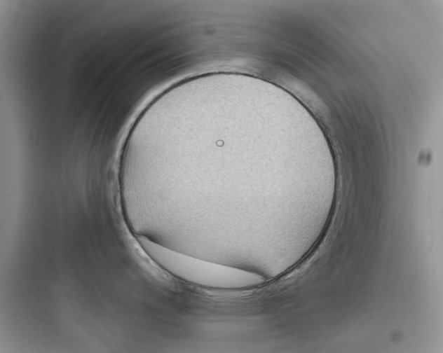 X0000097651200200803211848