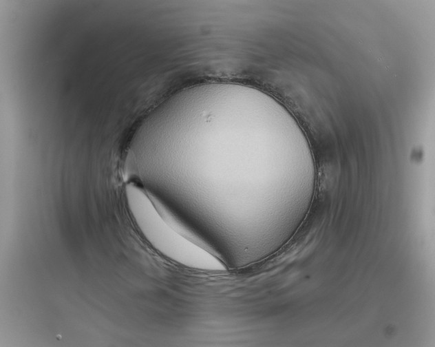 X0000097651202200803211847