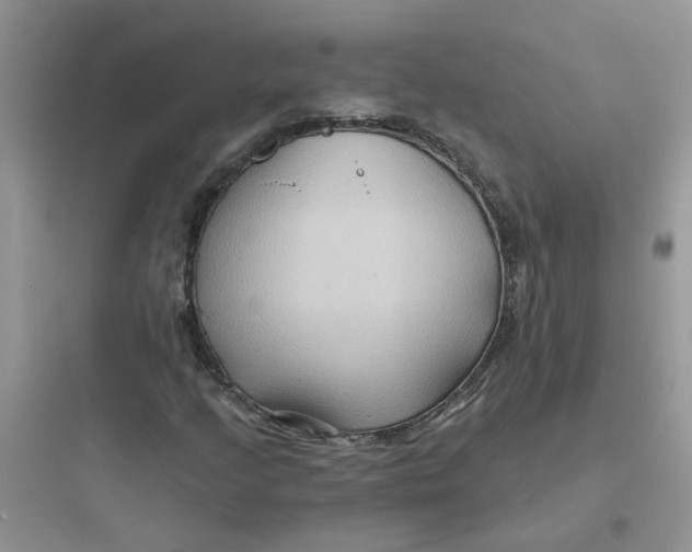 X0000097651205200803211848