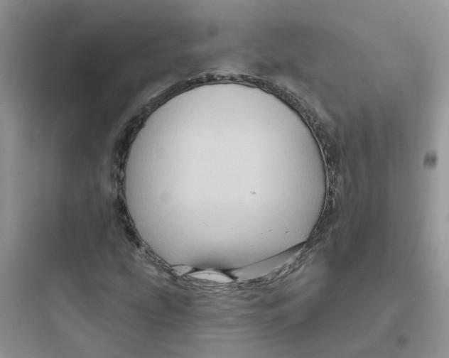 X0000097651207200803211848