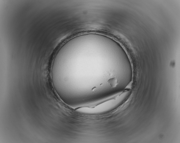 X0000097651210200803211848