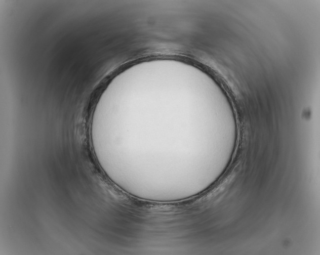 X0000097651211200803211848