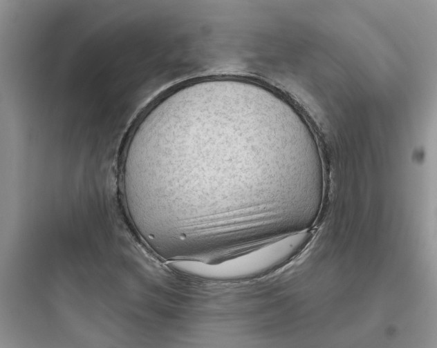 X0000097651212200803211848