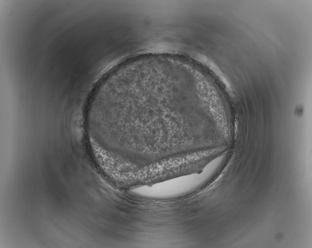 X0000097651213200803211848