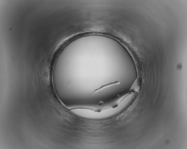 X0000097651214200803211848