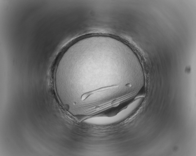 X0000097651215200803211848