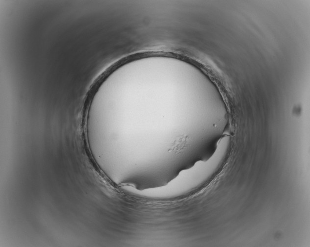 X0000097651216200803211848