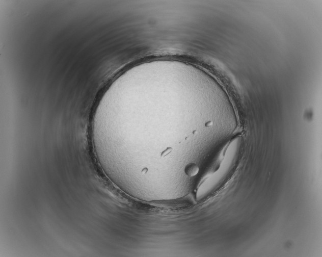 X0000097651217200803211848