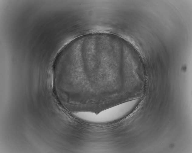 X0000097651219200803211848