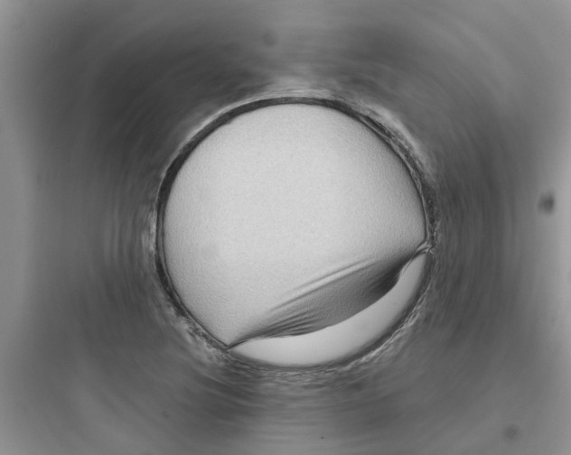 X0000097651220200803211848