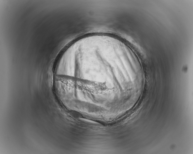 X0000097651221200803211848